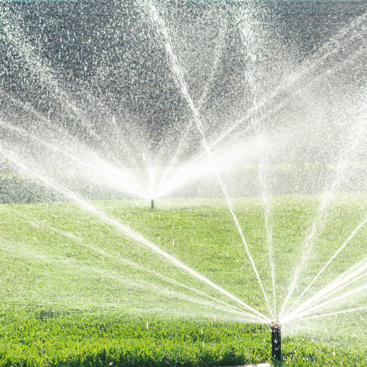 Outdoor Services in Bakersfield, CA