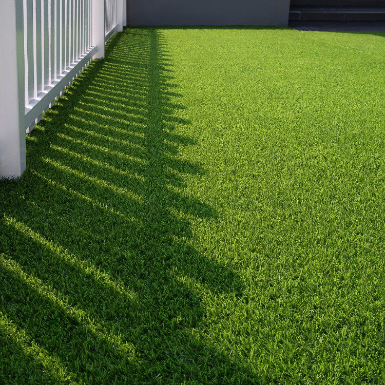 Outdoor Services in Bakersfield, CA
