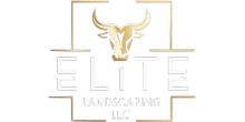 Elite Landscaping LLC